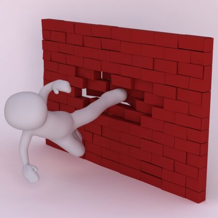Wall Bricks Kick Angry Man D  - Peggy_Marco / Pixabay
